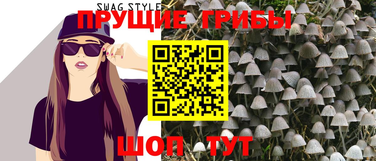 Псилоцибиновые грибы MAGIC MUSHROOMS  Вход с VPN  закладки  Галлюциногенные грибы ЛСД  Удомля 