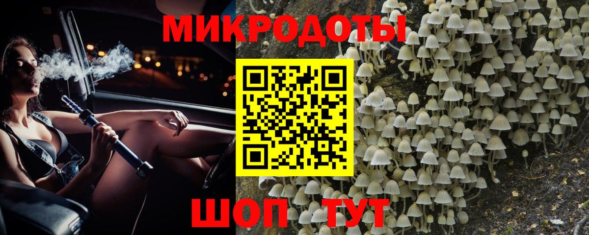 Псилоцибиновые грибы Psilocybine cubensis Удомля
