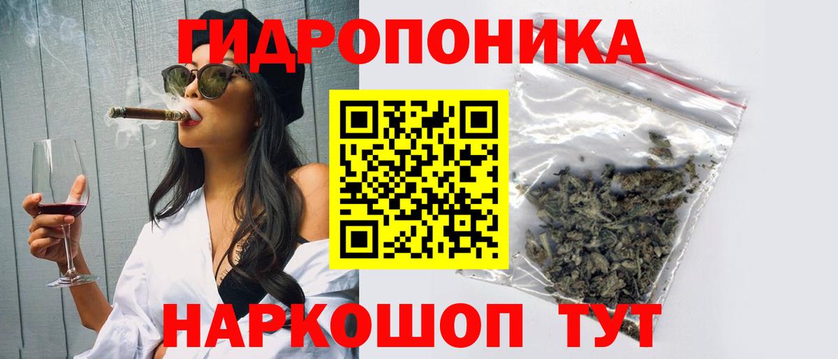 Конопля Bruce Banner  Вход с VPN  Удомля  Каннабис конопля  Бошки марихуана конопля 